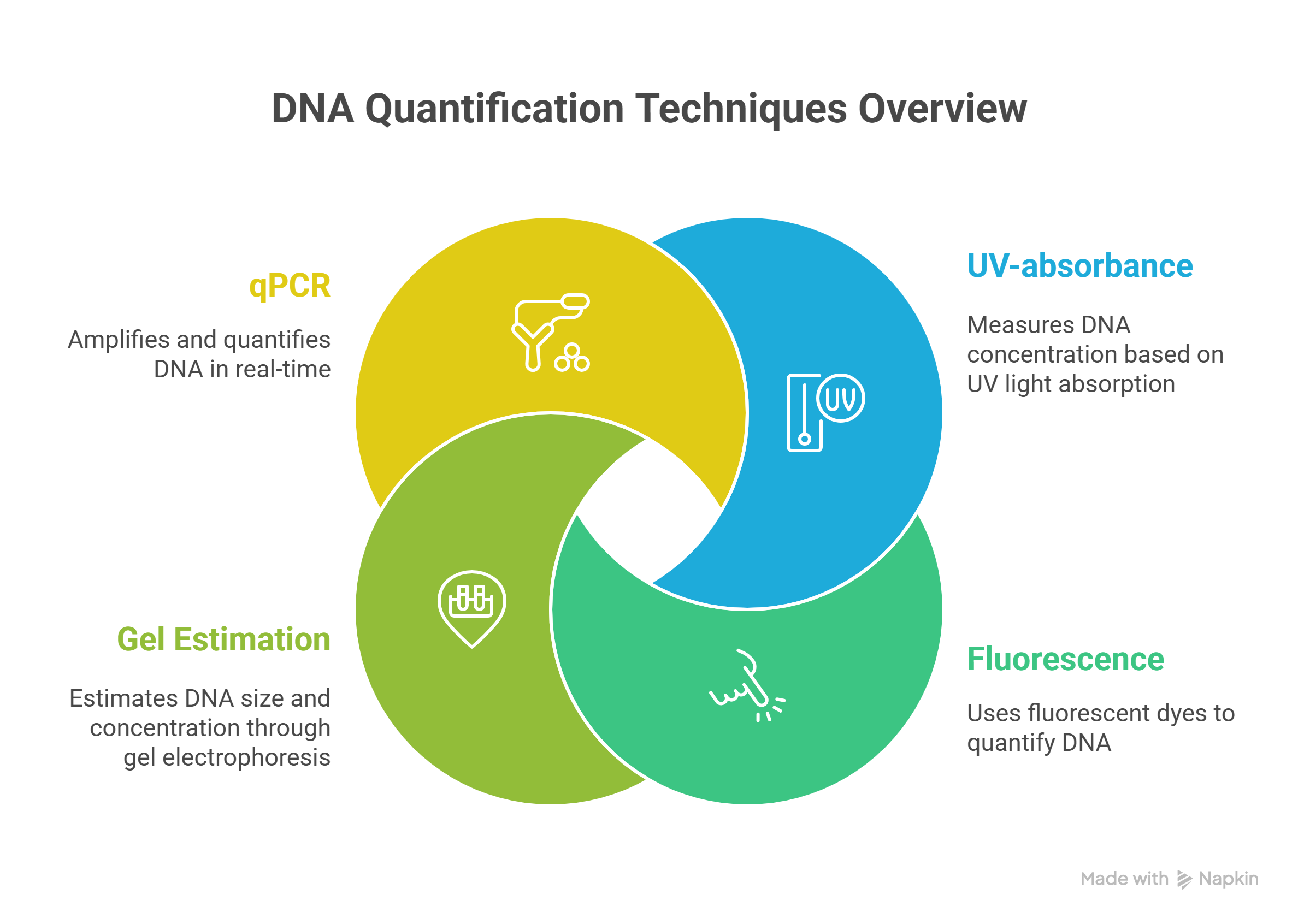 DNA Quantification Methods Comparison - Smart Unit Calculator