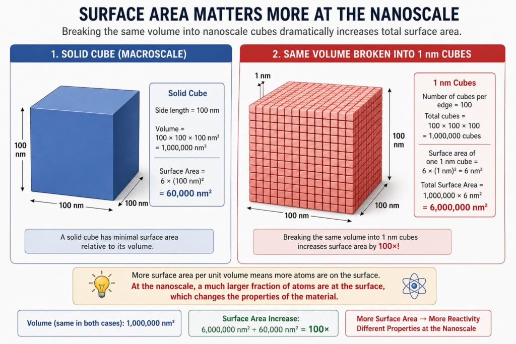 A comparative scale visual showing a meter stick, a human hair (80,000 nm), a red blood cell (7,000 nm), a virus (100 nm), a DNA helix (2.5 nm), and a carbon atom (0.2 nm). Each labeled with measurements in both meters and nanometers.